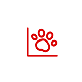 沈陽SEO網(wǎng)站優(yōu)化公司-文案優(yōu)化